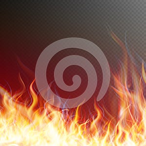 Blaze fire flame. EPS 10