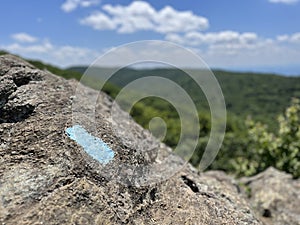 Blaze on a rock scramble