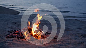 Blazing campfire on beach, summer evening. Bonfire in nature as background. Burning wood on white sand shore at sunset.