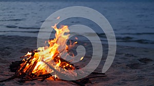 Blazing campfire on beach, summer evening. Bonfire in nature as background. Burning wood on white sand shore at sunset.