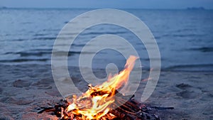 Blazing campfire on beach, summer evening. Bonfire in nature as background. Burning wood on white sand shore at sunset.