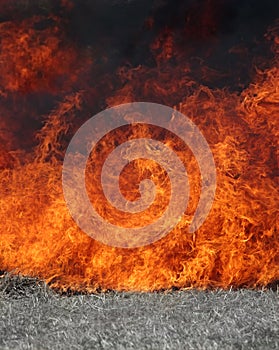 Blazing Fire photo