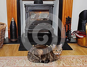 Blazing stove with Tabby Cat on a rug