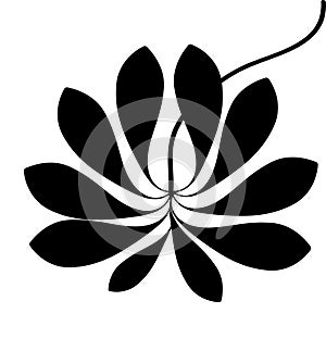 BLCK AND WHITE LEAFE LOGO