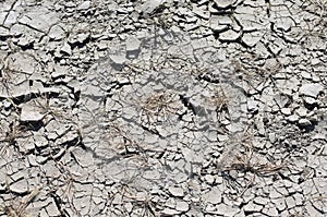 Bleached dry stratified soil in cracks