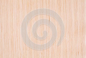 Bleached oak wood texture