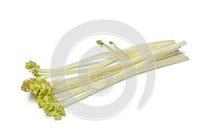 Bleached sea kale