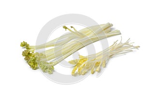 Bleached sea kale and sprouts