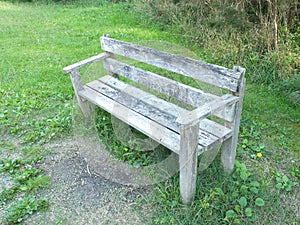 Bleached timber bench at a path in parkland