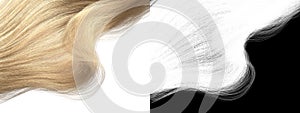 Bleached Wave Hair Isolated Design - Fair Long Lock with Alpha Channel