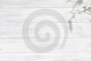 Bleached wood textured design background