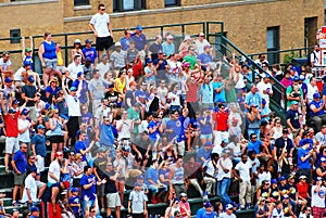 Bleacher Bums, Chicago