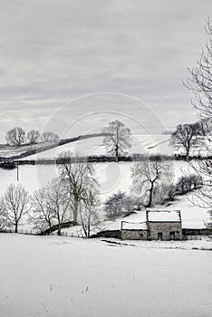 Bleak winter countryside