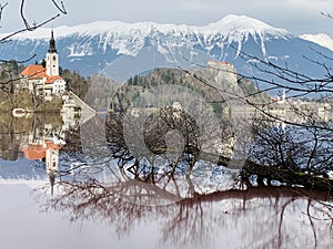 Bled