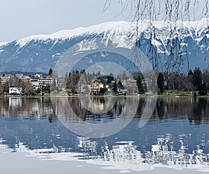 Bled