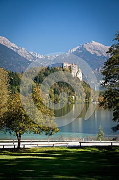 Bled