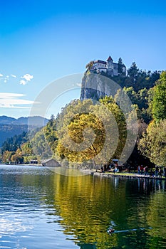 Bled castle and lake, Bled, Slovenia, Europe