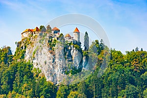 Bled Castle precipice photo