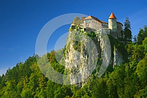 Bled Castle photo