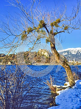 Bled Castle, Slovenia