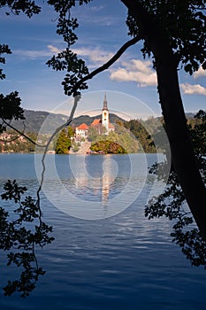 Bled island and church framed in a tree foreground, Lake Bled, Slovenia