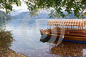 Bled lake in autumn, traditional wooden boats Pletna. Bled church at the background