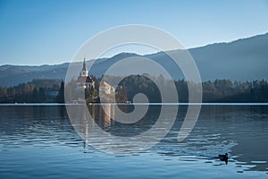 Bled lake in Slovenia, Europe