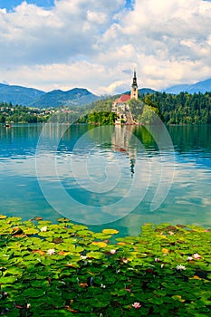 Bled lake, Slovenia, Europe