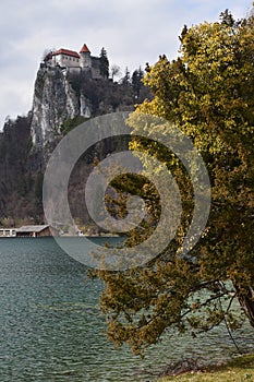 Bled Lake in Slovenija photo