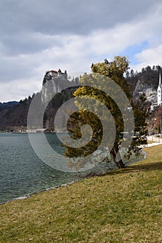 Bled Lake in Slovenija photo