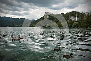 Bled, Slovenia - Europe