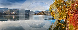 Bled, Slovenia - Panoramic view of beautiful autumn colors by the lake Bled with Pilgrimage Church of the Assumption of Maria