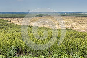 Bledow Desert, an area of sands between Bledow and the village of Chechlo and Klucze in Poland.