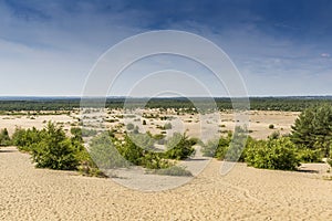 Bledow Desert, an area of sands between Bledow and the village of Chechlo and Klucze in Poland.