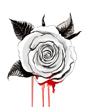 Bleeding rose