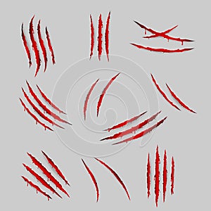 Bleeding scratches monster animal claws torn material blood set isolated design vector illustration photo