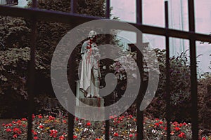 Bleeding Statue Surrounded by Red Flowers