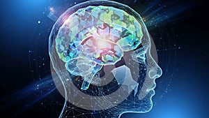 A blend of human anatomy with digital or virtual elements, emphasizing