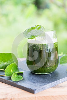 Blended green pennywort , asiatic juice with green background.