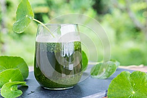 Blended green pennywort , asiatic juice with green background.