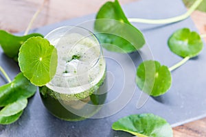 Blended green pennywort , asiatic juice with green background.