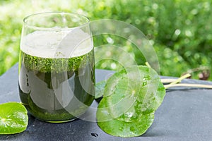 Blended green pennywort , asiatic juice with green background.