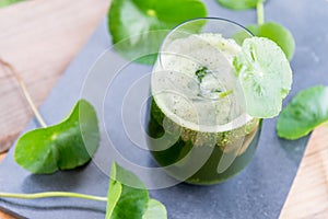 Blended green pennywort , asiatic juice with green background.