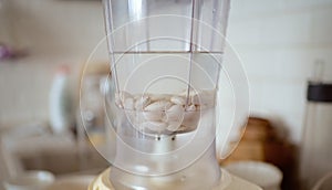 Blender and almonds soaked in water. Homemade healthy vegan milk
