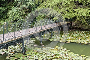 Blenheim Palace Gardens England photo