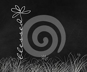 Blessed text daisy stem on chalkboard