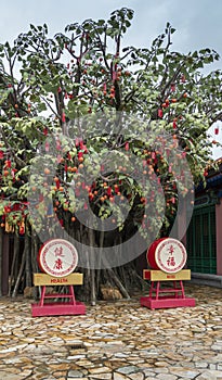 Blessing Drums and Bodhi Wishing Tree at Ngong Ping Village, Lantau, Hong Kong