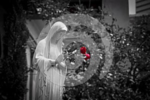 Blessing Mother Mary with Red Roses