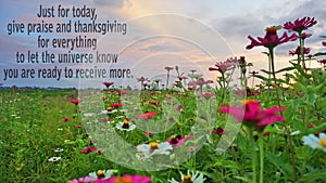 Blessings inspirational words with fresh meadow, zinnia flowers garden and colorful dreamy sky backgrounds.