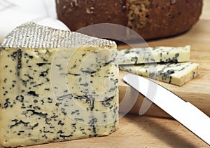 BLEU DES CAUSSES, A FRENCH CHEESE MADE WITH COW`S MILK